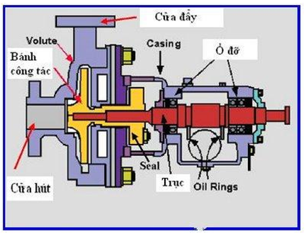 Hình 1- Cấu tạo máy bơm nước ly tâm